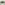 Load image into Gallery viewer, Army Classic Low Profile Hat (Stone)