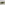 Load image into Gallery viewer, Army Ladies Boxy Crew (Ash)