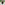 Load image into Gallery viewer, Army Star Youth Left Chest Hood