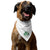 Coast Guard Shamrock Dog Bandana