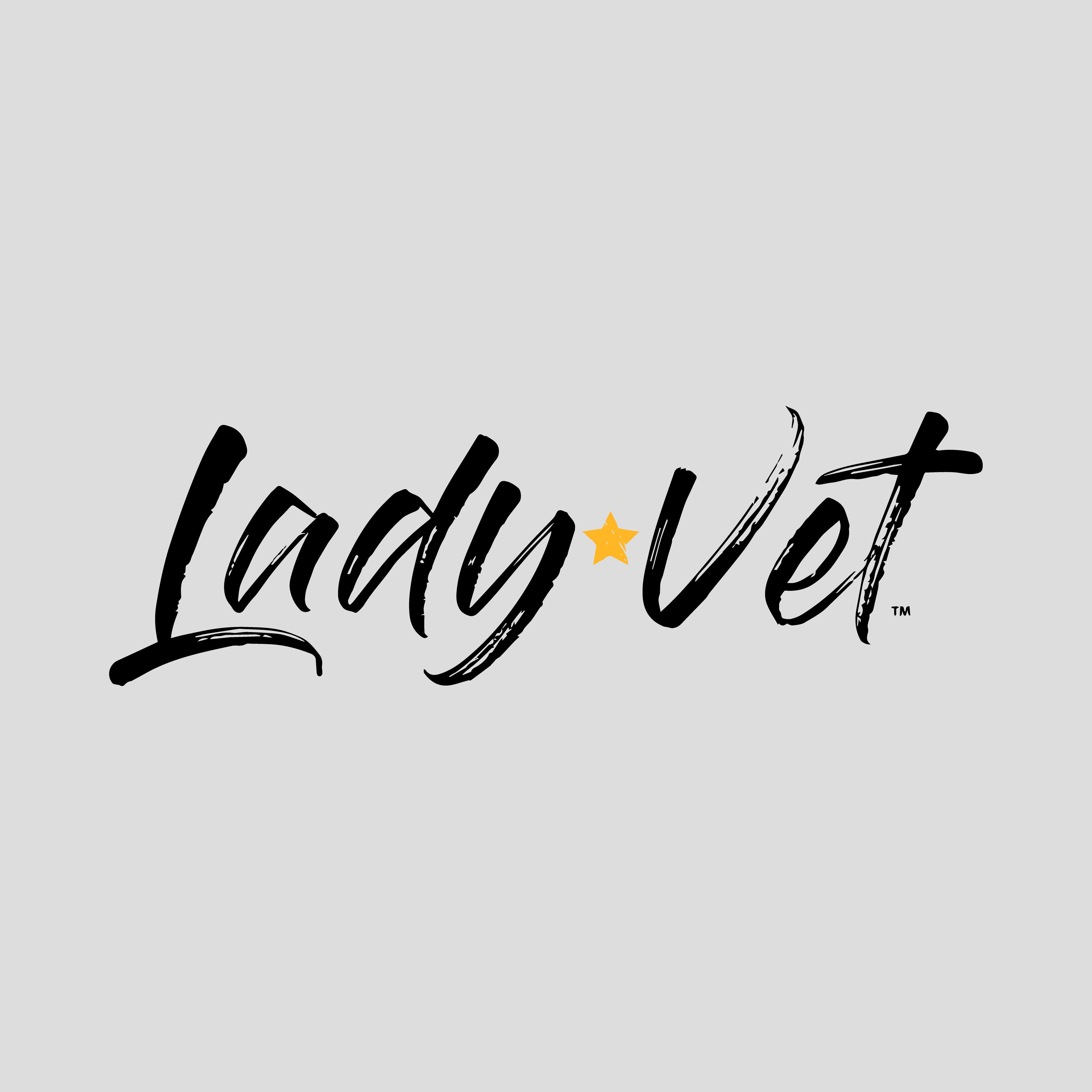 Army Lady Vet Full Chest Logo Ladies T-Shirt