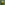 Load image into Gallery viewer, Army Rivets T-Shirt (OD Green)