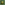 Load image into Gallery viewer, Army Rivets T-Shirt (OD Green)