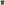 Load image into Gallery viewer, I Served Afghanistan Veteran T-Shirt (OD Green)