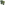 Load image into Gallery viewer, Army Curtiss P-40 Warhawk T-Shirt (OD Green)