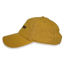 Load image into Gallery viewer, Army Star Logo Hat (Gold)